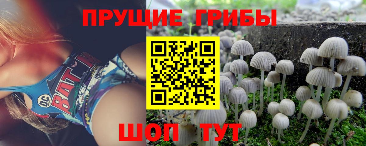 Звенигород  Галлюциногенные грибы MAGIC MUSHROOMS  Вход с VPN  Галлюциногенные грибы MAGIC MUSHROOMS 